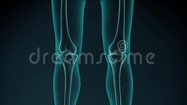 膝关节疼痛动画.. 健康的关节和不健康的疼痛关节与骨关节炎。